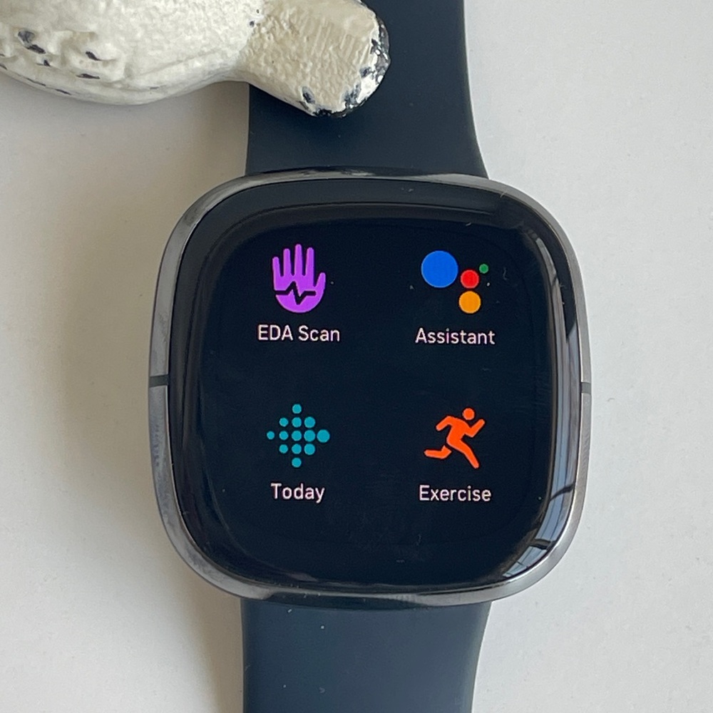 Fitbit Versa 3 Watch - Picture 3 of 14